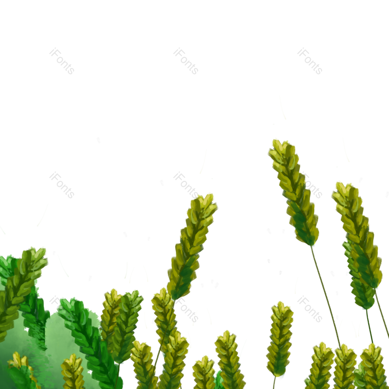 芒种图片,秋天元素,丰收PNG,插画素材免抠素材